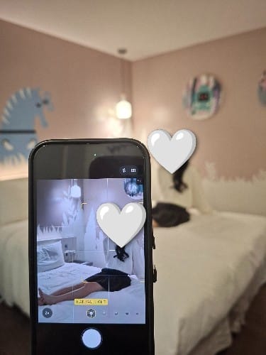 小奶貓寶寶