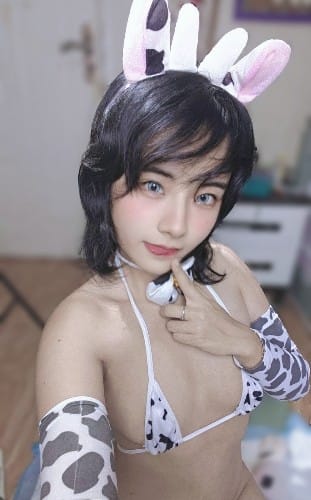 y4坏狗