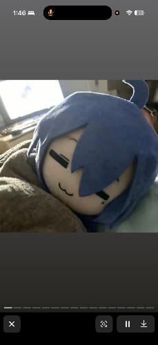 小白