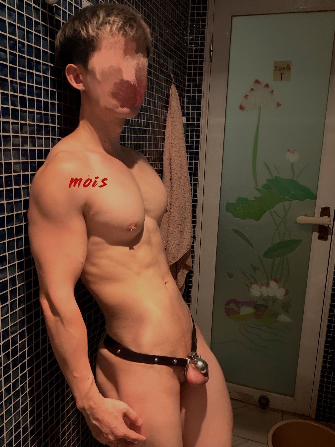 外翻拳狗