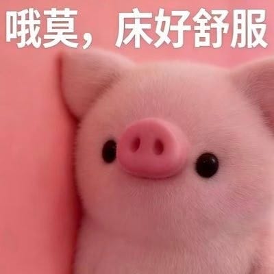 香菇
