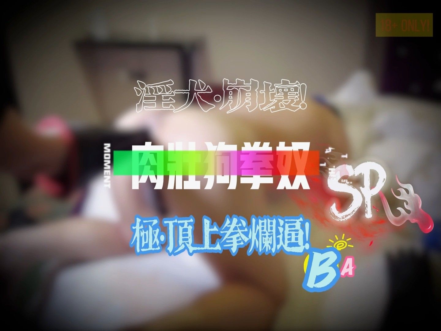 TO20B SP (260628)