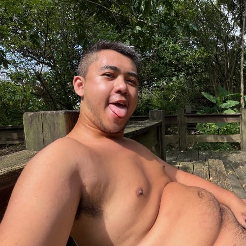 Tiger 淫虎