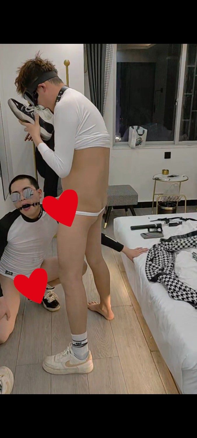 S玩狗?其实是两条无脑r狗互玩