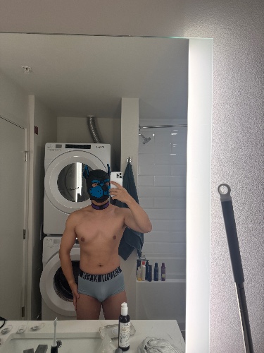 Hammerdoggyxx