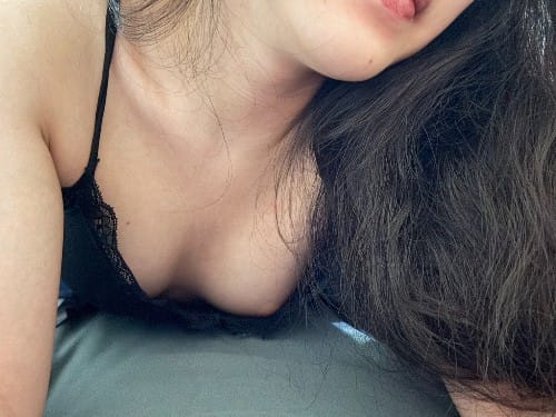 蜘蛛貓貓