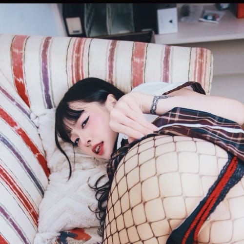 尼塔 nita