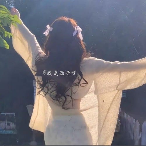 西子の桜夢縁 | 日本夜遊