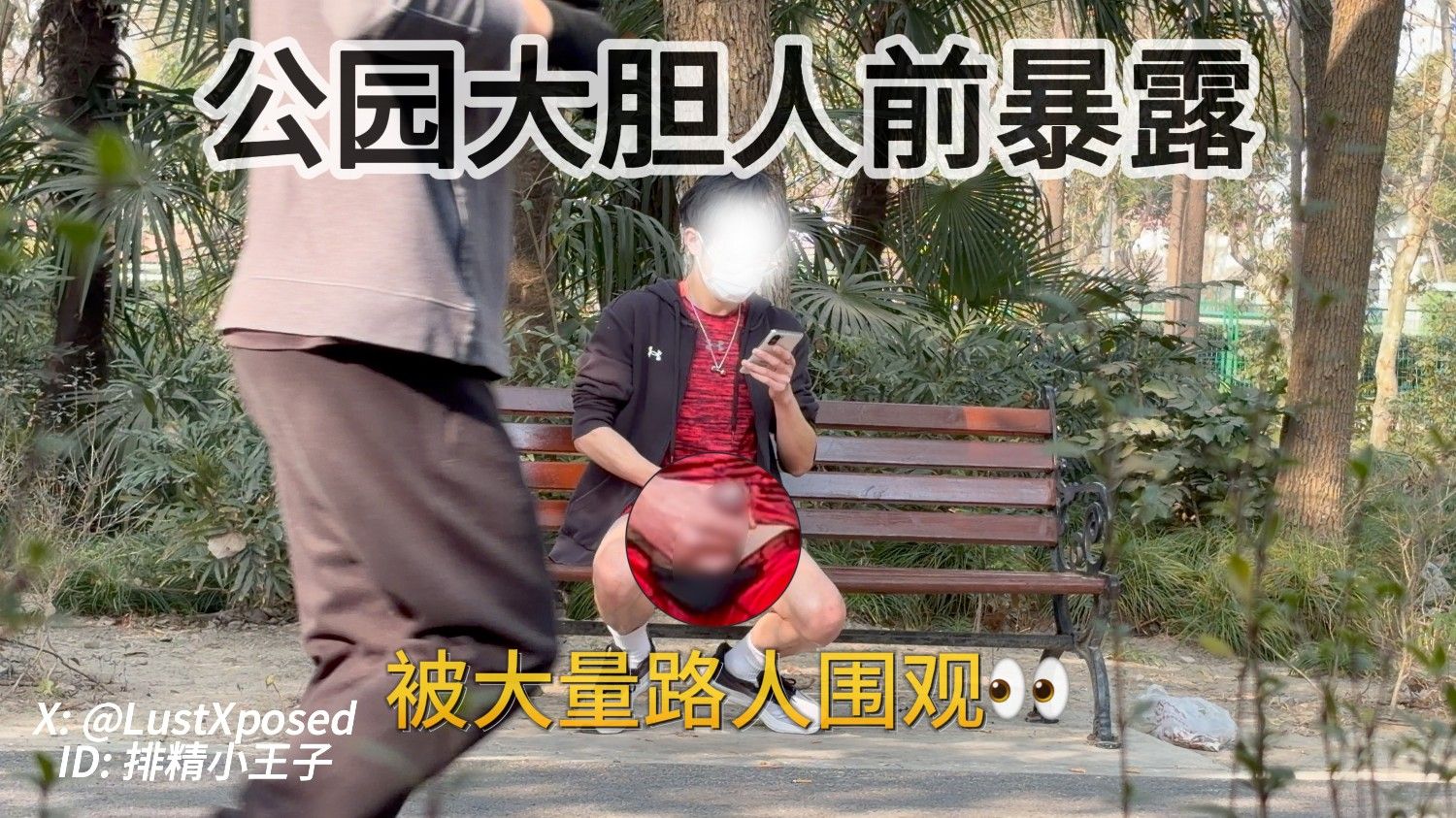 公園暴露（第一期）