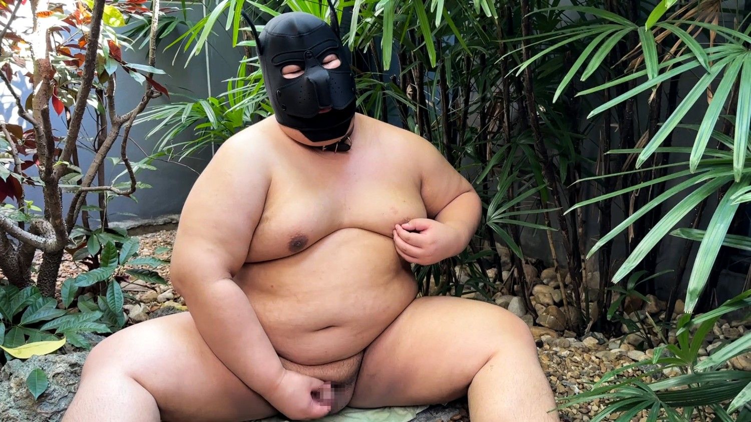 未命名贴文